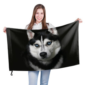 Флаг 3D с принтом Хаски в Тюмени, 100% полиэстер | плотность ткани — 95 г/м2, размер — 67 х 109 см. Принт наносится с одной стороны | животные | собака | хаски