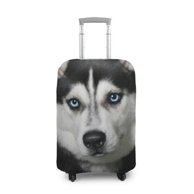 Чехол для чемодана 3D с принтом Хаски в Тюмени, 86% полиэфир, 14% спандекс | двустороннее нанесение принта, прорези для ручек и колес | животные | собака | хаски