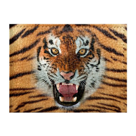 Обложка для студенческого билета с принтом Тигр в Тюмени, натуральная кожа | Размер: 11*8 см; Печать на всей внешней стороне | животные | зубы | кошка | тигр