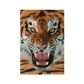 Обложка для паспорта матовая кожа с принтом Тигр в Тюмени, натуральная матовая кожа | размер 19,3 х 13,7 см; прозрачные пластиковые крепления | животные | зубы | кошка | тигр