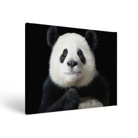 Холст прямоугольный с принтом Панда в Тюмени, 100% ПВХ |  | панда