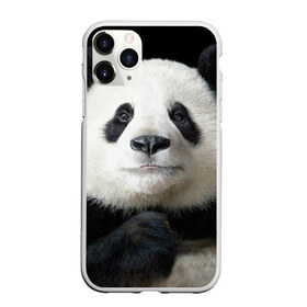 Чехол для iPhone 11 Pro матовый с принтом Панда в Тюмени, Силикон |  | панда