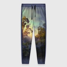 Женские брюки 3D с принтом Природа в Тюмени, полиэстер 100% | прямой крой, два кармана без застежек по бокам, с мягкой трикотажной резинкой на поясе и по низу штанин. В поясе для дополнительного комфорта — широкие завязки | пейзаж