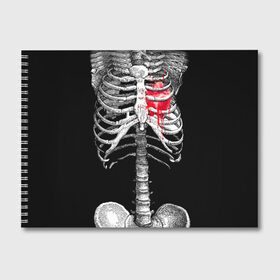 Альбом для рисования с принтом Скелет с сердцем в Тюмени, 100% бумага
 | матовая бумага, плотность 200 мг. | Тематика изображения на принте: halloween | skeleton | кровь | скелет | хэллоуин