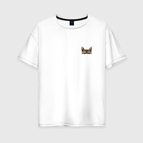 Женская футболка хлопок Oversize с принтом Кот в кармашке в Тюмени, 100% хлопок | свободный крой, круглый ворот, спущенный рукав, длина до линии бедер
 | в кармане | киса | кот | коты | кошки | подглядывающий