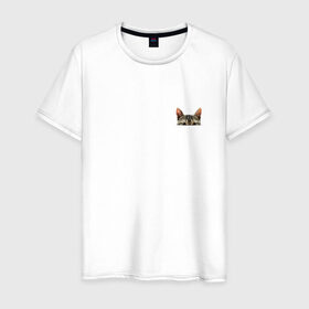 Мужская футболка хлопок с принтом Кот в кармашке в Тюмени, 100% хлопок | прямой крой, круглый вырез горловины, длина до линии бедер, слегка спущенное плечо. | в кармане | киса | кот | коты | кошки | подглядывающий
