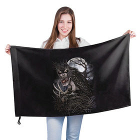 Флаг 3D с принтом Ночной охотник в Тюмени, 100% полиэстер | плотность ткани — 95 г/м2, размер — 67 х 109 см. Принт наносится с одной стороны | арт | кристофер ловелл | луна | мода | ночной охотник | ночь | охотник | сердце | филин