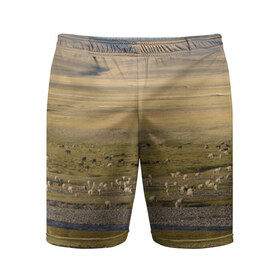 Мужские шорты 3D спортивные с принтом Долина жизни в Тюмени,  |  | Тематика изображения на принте: алтай | горы | долина | камни | пастбище в горной долинеживотные | пески | пустыни | рек