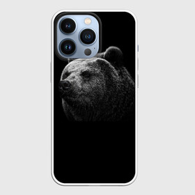 Чехол для iPhone 13 Pro с принтом Мишка в Тюмени,  |  | Тематика изображения на принте: медведь