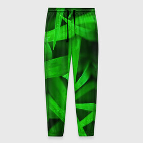 Мужские брюки 3D с принтом Трава в Тюмени, 100% полиэстер | манжеты по низу, эластичный пояс регулируется шнурком, по бокам два кармана без застежек, внутренняя часть кармана из мелкой сетки | Тематика изображения на принте: зеленый | макро | яркий