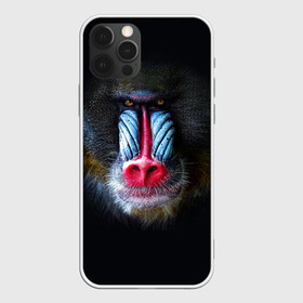Чехол для iPhone 12 Pro с принтом Мандрил в Тюмени, силикон | область печати: задняя сторона чехла, без боковых панелей | 2016 | год | мандрил | мартышка | новогодний | новый | обезьяна | обезьянка | подарок | с новым годом