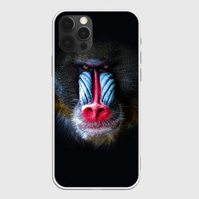 Чехол для iPhone 12 Pro Max с принтом Мандрил в Тюмени, Силикон |  | 2016 | год | мандрил | мартышка | новогодний | новый | обезьяна | обезьянка | подарок | с новым годом