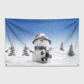 Флаг-баннер с принтом Снеговик в Тюмени, 100% полиэстер | размер 67 х 109 см, плотность ткани — 95 г/м2; по краям флага есть четыре люверса для крепления | 2016 | winter | год | зима | мартышка | новогодний | новый | обезьяна | обезьянка | подарок | с новым годом | снег | снеговик