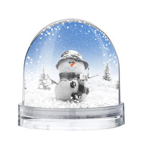 Снежный шар с принтом Снеговик в Тюмени, Пластик | Изображение внутри шара печатается на глянцевой фотобумаге с двух сторон | 2016 | winter | год | зима | мартышка | новогодний | новый | обезьяна | обезьянка | подарок | с новым годом | снег | снеговик