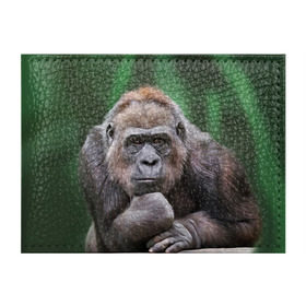 Обложка для студенческого билета с принтом Обезьяна в Тюмени, натуральная кожа | Размер: 11*8 см; Печать на всей внешней стороне | 2016 | мартышка | обезьяна | с новым годом | символ нг