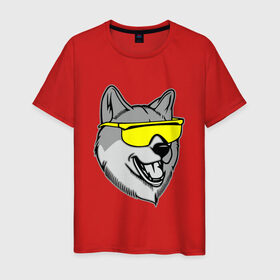 Мужская футболка хлопок с принтом Хаски в очках в Тюмени, 100% хлопок | прямой крой, круглый вырез горловины, длина до линии бедер, слегка спущенное плечо. | голова | животные | очки | пес | собака | хаски