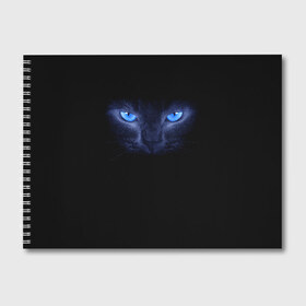 Альбом для рисования с принтом Кошка с голубыми глазами в Тюмени, 100% бумага
 | матовая бумага, плотность 200 мг. | глаза | кот | синий