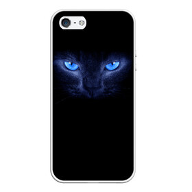 Чехол для iPhone 5/5S матовый с принтом Кошка с голубыми глазами в Тюмени, Силикон | Область печати: задняя сторона чехла, без боковых панелей | глаза | кот | синий