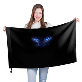 Флаг 3D с принтом Кошка с голубыми глазами в Тюмени, 100% полиэстер | плотность ткани — 95 г/м2, размер — 67 х 109 см. Принт наносится с одной стороны | Тематика изображения на принте: глаза | кот | синий