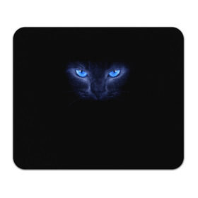 Коврик прямоугольный с принтом Кошка с голубыми глазами в Тюмени, натуральный каучук | размер 230 х 185 мм; запечатка лицевой стороны | глаза | кот | синий