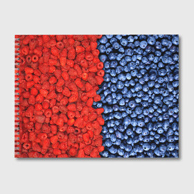 Альбом для рисования с принтом Ягодка в Тюмени, 100% бумага
 | матовая бумага, плотность 200 мг. | клубника | малина | черника | ягода | ягодка | ягодный