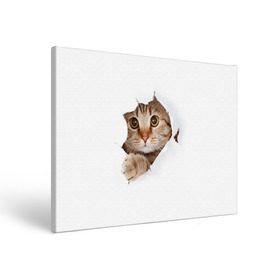 Холст прямоугольный с принтом Котик в Тюмени, 100% ПВХ |  | Тематика изображения на принте: кот | котенок | котик | кошка | милый
