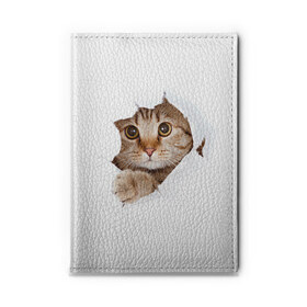 Обложка для автодокументов с принтом Котик в Тюмени, натуральная кожа |  размер 19,9*13 см; внутри 4 больших “конверта” для документов и один маленький отдел — туда идеально встанут права | кот | котенок | котик | кошка | милый