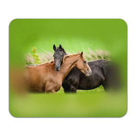 Коврик прямоугольный с принтом Лошади 2 в Тюмени, натуральный каучук | размер 230 х 185 мм; запечатка лицевой стороны | horse | horseshoe | акварель | головалошади | грива | единорог | жеребец | животные | конь | лошадь | лошадьскрыльями | подкова | природа | рисуноккрасками