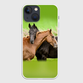 Чехол для iPhone 13 mini с принтом Лошади 2 в Тюмени,  |  | horse | horseshoe | акварель | головалошади | грива | единорог | жеребец | животные | конь | лошадь | лошадьскрыльями | подкова | природа | рисуноккрасками