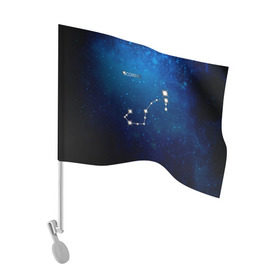Флаг для автомобиля с принтом Скорпион в Тюмени, 100% полиэстер | Размер: 30*21 см | скорпион