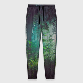 Мужские брюки 3D с принтом Таинственный лес в Тюмени, 100% полиэстер | манжеты по низу, эластичный пояс регулируется шнурком, по бокам два кармана без застежек, внутренняя часть кармана из мелкой сетки | деревья | зелень | на макете изображен таинственный зеленый леслес
