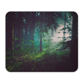 Коврик прямоугольный с принтом Таинственный лес в Тюмени, натуральный каучук | размер 230 х 185 мм; запечатка лицевой стороны | Тематика изображения на принте: деревья | зелень | на макете изображен таинственный зеленый леслес