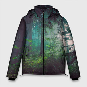 Мужская зимняя куртка 3D с принтом Таинственный лес в Тюмени, верх — 100% полиэстер; подкладка — 100% полиэстер; утеплитель — 100% полиэстер | длина ниже бедра, свободный силуэт Оверсайз. Есть воротник-стойка, отстегивающийся капюшон и ветрозащитная планка. 

Боковые карманы с листочкой на кнопках и внутренний карман на молнии. | деревья | зелень | на макете изображен таинственный зеленый леслес