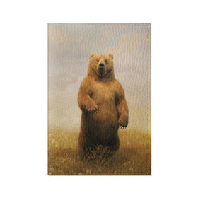 Обложка для паспорта матовая кожа с принтом Медведь в поле в Тюмени, натуральная матовая кожа | размер 19,3 х 13,7 см; прозрачные пластиковые крепления | bear | медведь | одуванчики | русский медведь в чистом русском поле мечта патриотаполе | сено