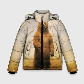 Зимняя куртка для мальчиков 3D с принтом Медведь в поле в Тюмени, ткань верха — 100% полиэстер; подклад — 100% полиэстер, утеплитель — 100% полиэстер | длина ниже бедра, удлиненная спинка, воротник стойка и отстегивающийся капюшон. Есть боковые карманы с листочкой на кнопках, утяжки по низу изделия и внутренний карман на молнии. 

Предусмотрены светоотражающий принт на спинке, радужный светоотражающий элемент на пуллере молнии и на резинке для утяжки | bear | медведь | одуванчики | русский медведь в чистом русском поле мечта патриотаполе | сено