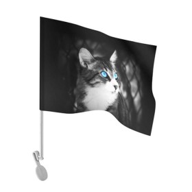 Флаг для автомобиля с принтом Кот в Тюмени, 100% полиэстер | Размер: 30*21 см | Тематика изображения на принте: взгляд | глаза | голубые | кот