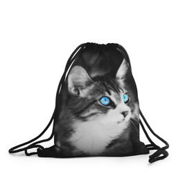 Рюкзак-мешок 3D с принтом Кот в Тюмени, 100% полиэстер | плотность ткани — 200 г/м2, размер — 35 х 45 см; лямки — толстые шнурки, застежка на шнуровке, без карманов и подкладки | Тематика изображения на принте: взгляд | глаза | голубые | кот