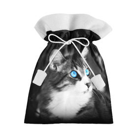 Подарочный 3D мешок с принтом Кот в Тюмени, 100% полиэстер | Размер: 29*39 см | взгляд | глаза | голубые | кот