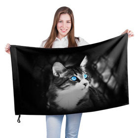 Флаг 3D с принтом Кот в Тюмени, 100% полиэстер | плотность ткани — 95 г/м2, размер — 67 х 109 см. Принт наносится с одной стороны | Тематика изображения на принте: взгляд | глаза | голубые | кот