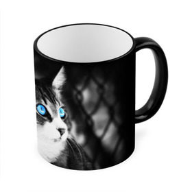 Кружка 3D с принтом Кот в Тюмени, керамика | ёмкость 330 мл | Тематика изображения на принте: взгляд | глаза | голубые | кот