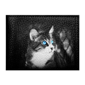 Обложка для студенческого билета с принтом Кот в Тюмени, натуральная кожа | Размер: 11*8 см; Печать на всей внешней стороне | Тематика изображения на принте: взгляд | глаза | голубые | кот