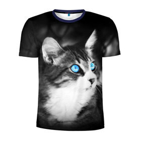 Мужская футболка 3D спортивная с принтом Кот в Тюмени, 100% полиэстер с улучшенными характеристиками | приталенный силуэт, круглая горловина, широкие плечи, сужается к линии бедра | взгляд | глаза | голубые | кот