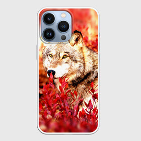 Чехол для iPhone 13 Pro с принтом Волк 1 в Тюмени,  |  | волк