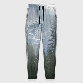 Мужские брюки 3D с принтом лес в Тюмени, 100% полиэстер | манжеты по низу, эластичный пояс регулируется шнурком, по бокам два кармана без застежек, внутренняя часть кармана из мелкой сетки | лес | мгла | мрачность | темнота | туман
