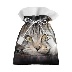 Подарочный 3D мешок с принтом Кот в Тюмени, 100% полиэстер | Размер: 29*39 см | Тематика изображения на принте: домашняя | животное | кот | котэ | кошка