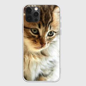Чехол для iPhone 12 Pro Max с принтом Кот в Тюмени, Силикон |  | домашняя | животное | кот | котэ | кошка