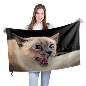 Флаг 3D с принтом Кот в Тюмени, 100% полиэстер | плотность ткани — 95 г/м2, размер — 67 х 109 см. Принт наносится с одной стороны | домашняя | животное | кот | котэ | кошка