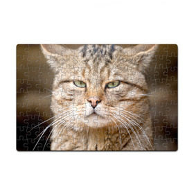 Пазл магнитный 126 элементов с принтом Кот в Тюмени, полимерный материал с магнитным слоем | 126 деталей, размер изделия —  180*270 мм | Тематика изображения на принте: дикий | животное | кот | котэ | кошка
