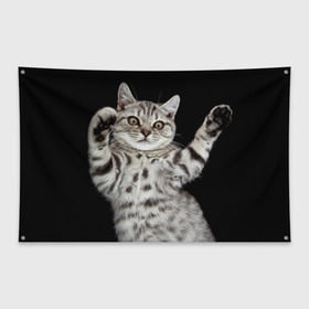 Флаг-баннер с принтом Кот в Тюмени, 100% полиэстер | размер 67 х 109 см, плотность ткани — 95 г/м2; по краям флага есть четыре люверса для крепления | домашняя | животное | кот | котэ | кошка