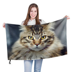 Флаг 3D с принтом Кот в Тюмени, 100% полиэстер | плотность ткани — 95 г/м2, размер — 67 х 109 см. Принт наносится с одной стороны | домашняя | животное | кот | котэ | кошка